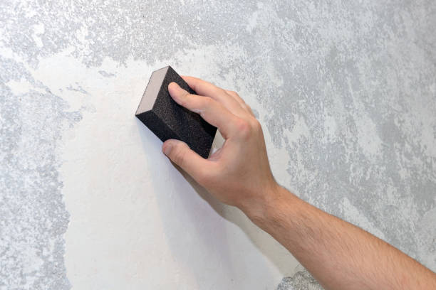  Fifth Ward, LA Mold Removal Pros