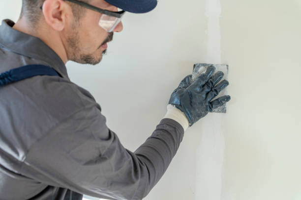 Biohazard Mold Removal in Fifth Ward, LA