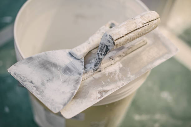 Best Environmental Consulting for Mold Prevention  in Fifth Ward, LA